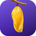 Pupa